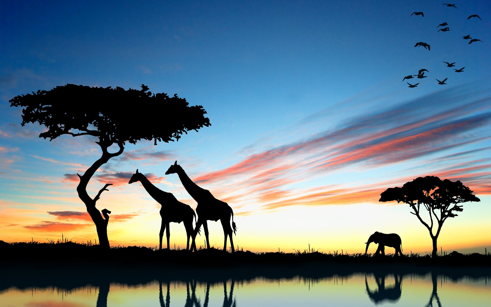 アフリカの夕日